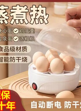 蒸蛋器防干烧自动断电多功能家用煮蛋器小型蒸蛋羹蒸蛋神器早餐机