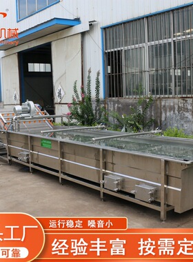不锈钢双层果蔬清洗机菠菜小油菜清洗除杂设备自动化气泡清洗机