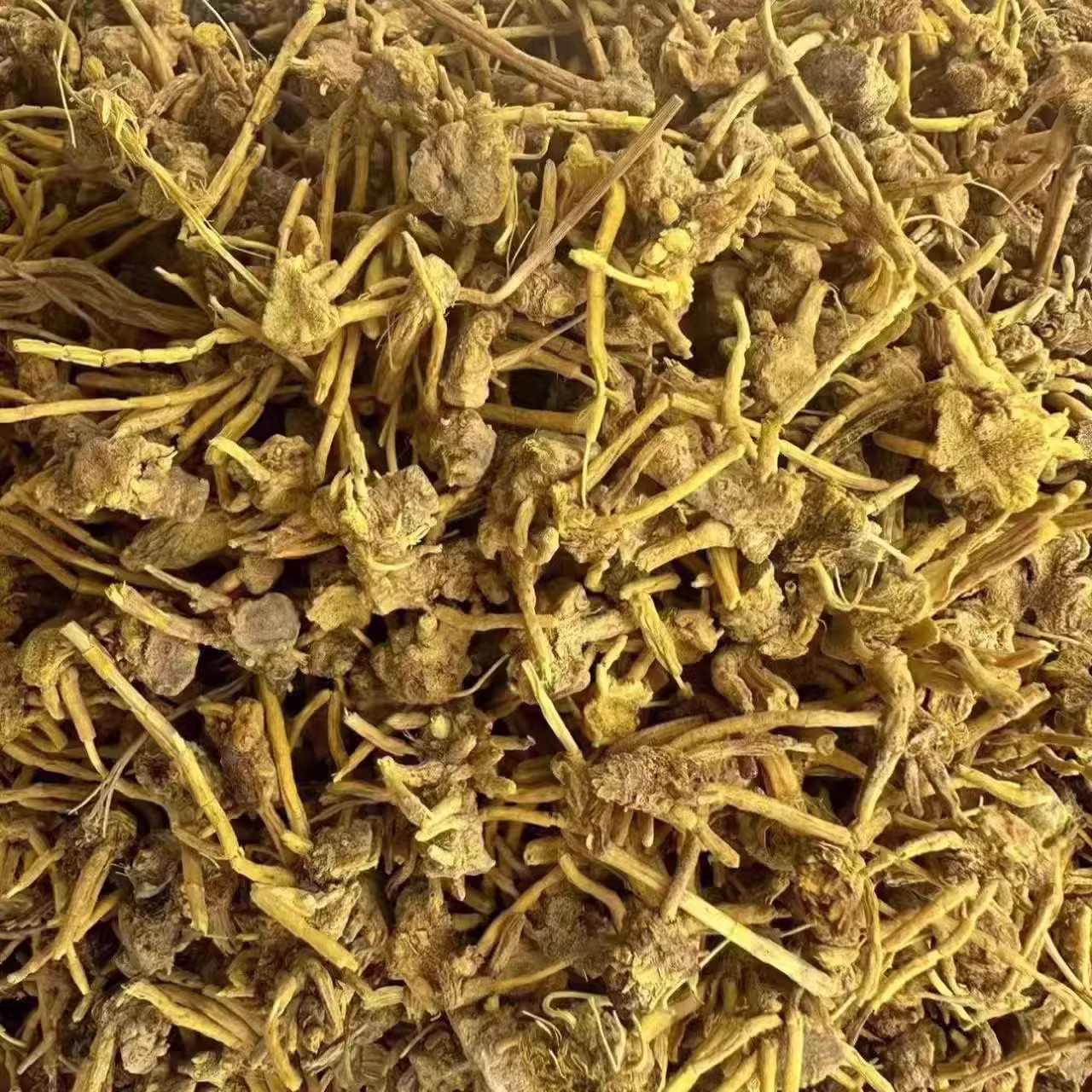 金龙根中药材正宗特级黄龙草根金龙石斛青藏高原雪山雪灵茶龙须草,淘宝优惠券,粉丝福利购,淘宝优惠卷