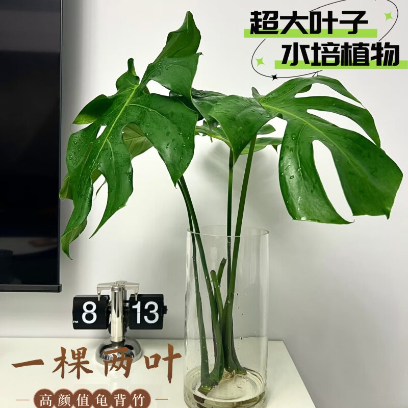 图3
