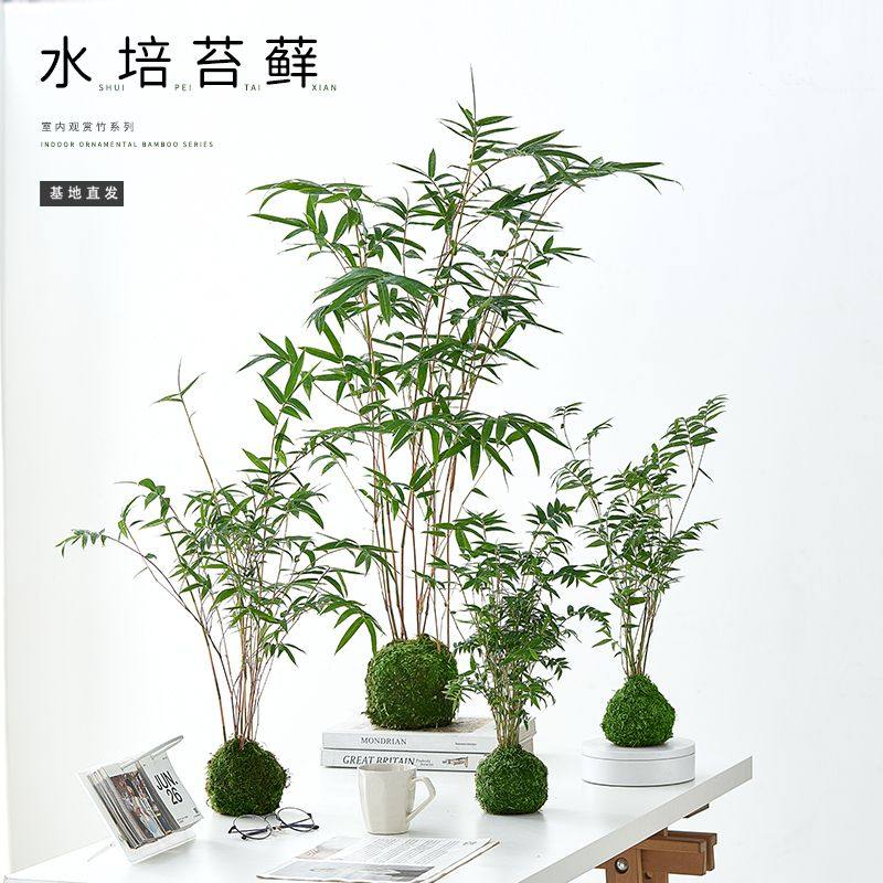 图5