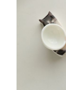 MUSe Garden 和逆子一起干饭 岛国新款原盒酱油碟筷子架组合