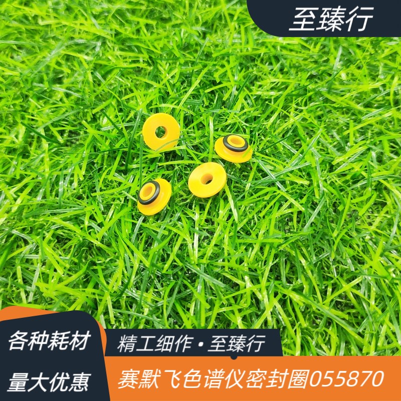 赛默飞离子色谱仪泵头ICS3000色谱柱塞高压密封圈055870 - 图3