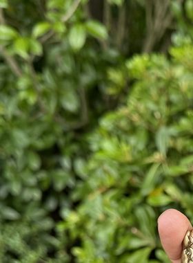 道家黄铜一体天师龙虎剑紫薇讳七星剑龙虎山天师剑五行剑一体铜剑