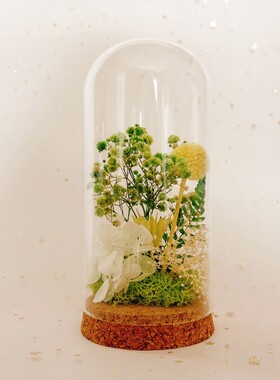 永生花玻璃瓶手工diy摆件微景观干花装饰亲子沙龙圣诞节礼物团建