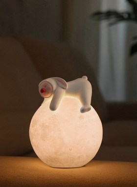 JOJOS L. PD.Ball.摆件创意可爱充电小夜灯树脂月球床头灯 兔球