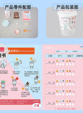 DIY自吸水植物盆栽科技小制作儿童科学实验玩具幼小学生手工种植