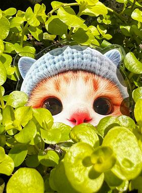 古咕谷猫咪侧面冰箱贴定制磁吸片亚克力小红书同款2026新款立牌