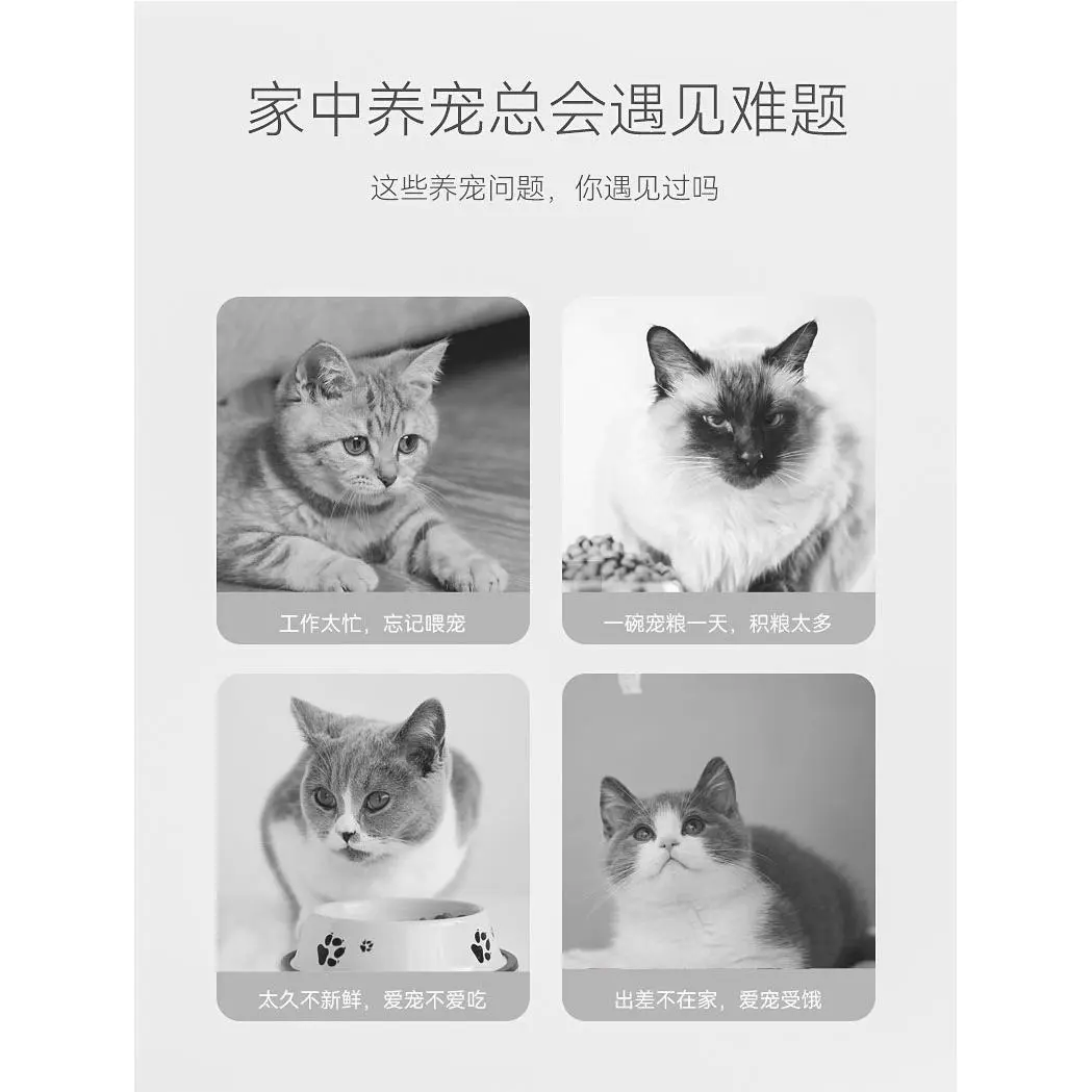 猫双碗自动饮水喂食器一体狗狗猫咪喝食盆猫碗粮狗盆宠物用品 - 图1