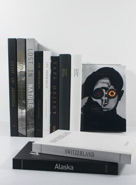 现代简约真书摆件装饰书书房书柜装饰品拍照道具