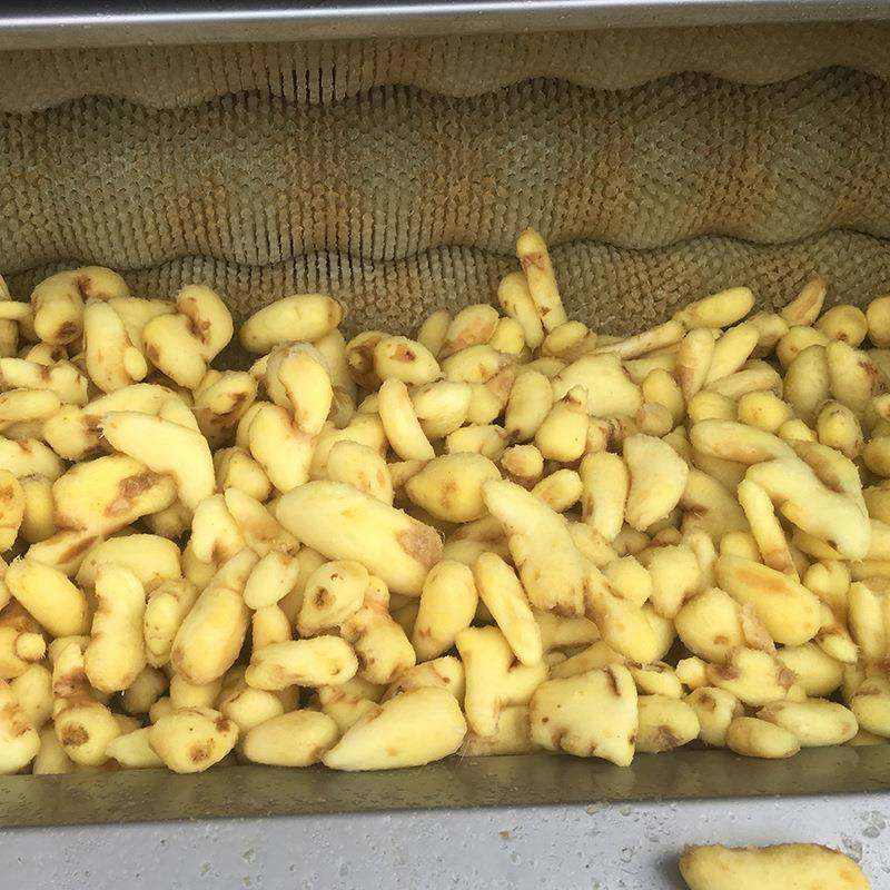 食堂香芋土豆清洗去皮机毛辊芋头马铃薯洋芋红薯清洗脱皮机,淘宝优惠券,粉丝福利购,淘宝优惠卷