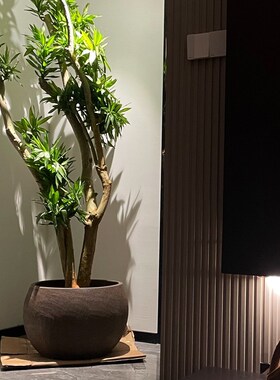 特口径紫砂粗陶花盆黑陶户外庭院素烧罐家居阳台控根盆