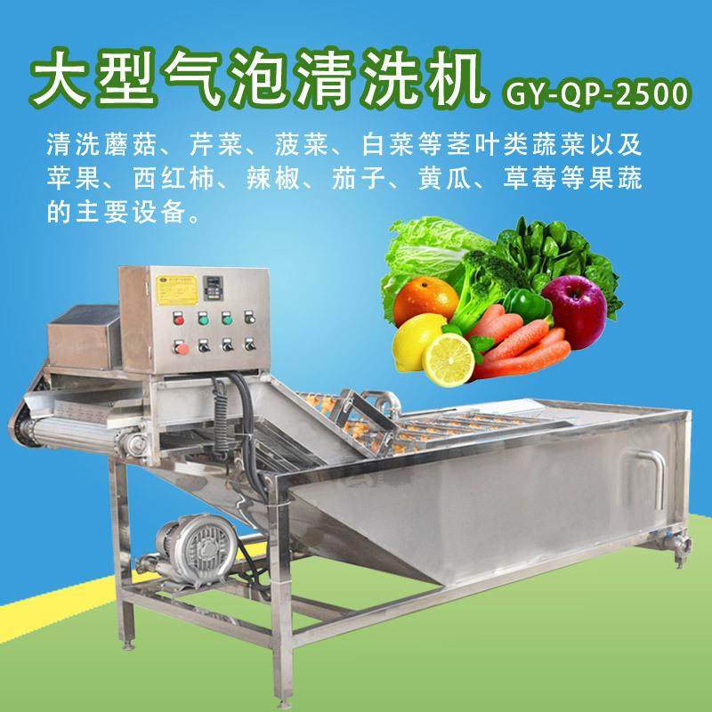 蔬菜清洗机连续式洗菜机气泡清洗机多功能果蔬清洗机洗毛豆机,淘宝优惠券,粉丝福利购,淘宝优惠卷