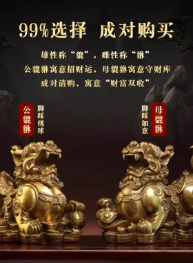 貔貅招财摆件旺财聚财纯铜公母