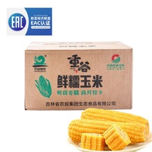 【农投集团】正宗东北黄糯玉米真空装8根