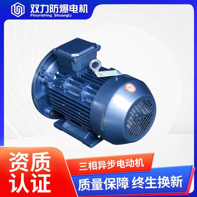 Customized 3/4/5 three-phase asynchronous AC vertical motor 4-pole energy efficiency 1500-rpm high-efficiency motor