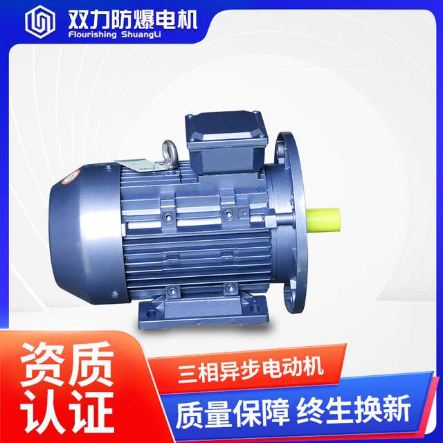 Customized 3/4/5 three-phase asynchronous AC vertical motor 4-pole energy efficiency 1500-rpm high-efficiency motor