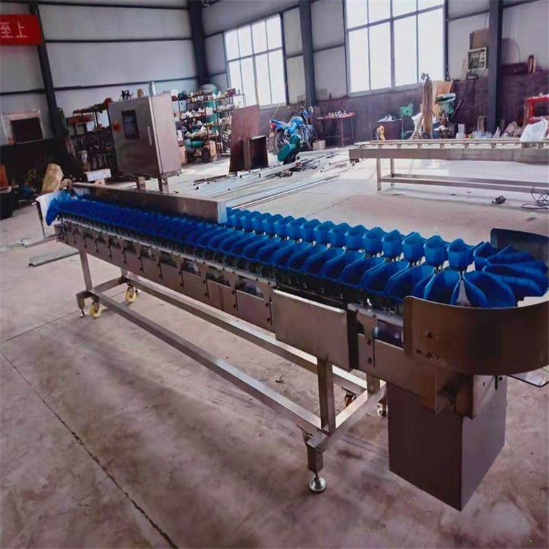 海参转盘式重量分拣机海参鲍鱼自动分级分拣机器,淘宝优惠券,粉丝福利购,淘宝优惠卷