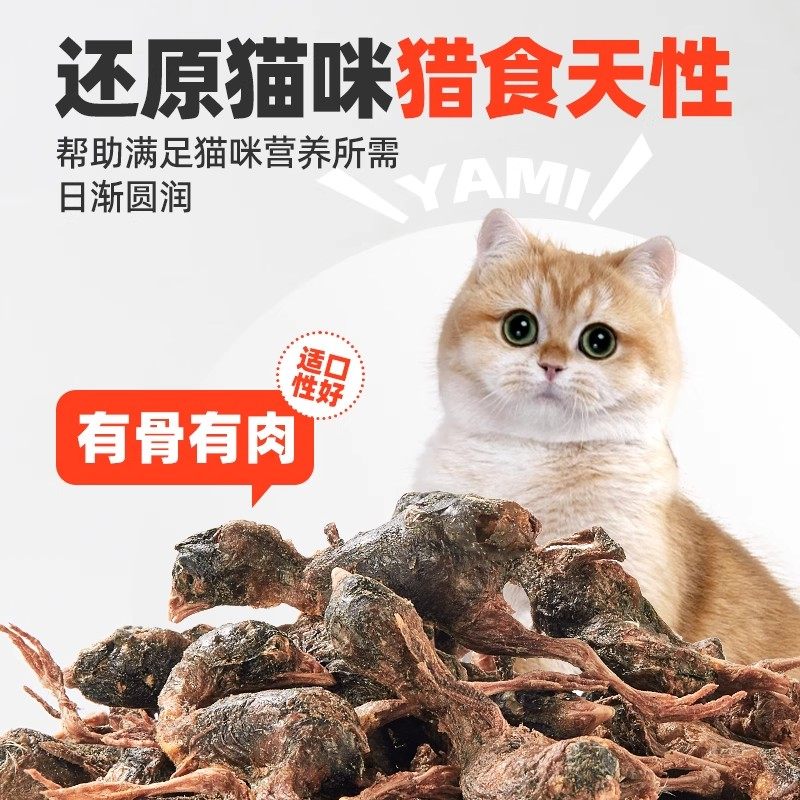 猫咪零食冻干鹌鹑猫零食磨牙营养腮滋补整只鹌鹑宠物狗狗成幼猫粮,淘宝优惠券,粉丝福利购,淘宝优惠卷