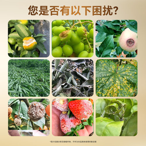 农小蛙傲美进口三价硅肥高纯度强壮根茎抗倒伏叶面肥速溶水溶肥料 - 图1