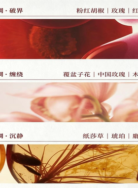 LEECN独家联名禁忌徽章香水小众高级玫瑰香氛