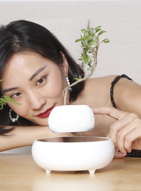 磁浮室花盆反重力情绪稳定盆栽女生情人节生日