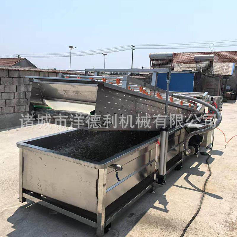 气缸提升式清洗机肉类气缸提升气泡清洗机山楂苹果瓜果清洗设备,淘宝优惠券,粉丝福利购,淘宝优惠卷