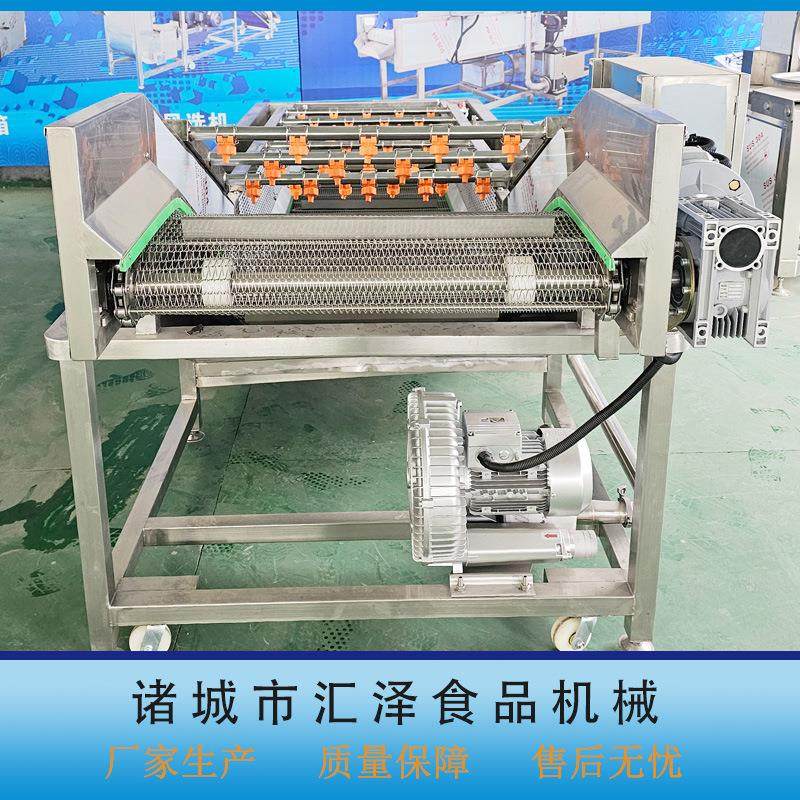 果蔬气泡清洗机西蓝花生菜喷淋洗菜机韭菜洋葱净菜清洗加工设备,淘宝优惠券,粉丝福利购,淘宝优惠卷