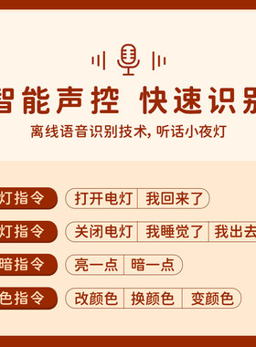 BOCO卡皮巴拉轻奢小夜灯摆件
