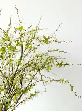 靓家花房仿真手球雪柳枝条餐桌装饰花艺插花摆件嫩柳芽枝假花摆设