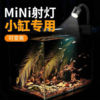 Aquarium lighting led aquatic plant lamp downlight turtle lamp South American spotlight color changing fish tank lamp zoom native tank