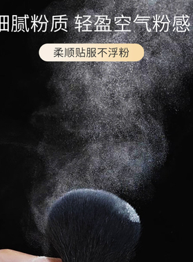 极色妆婳定妆粉散粉持久不脱妆化妆师专用蜜粉大容量30g小金盾