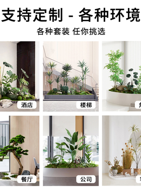 仿真绿色植物造景组合仿生植物盆栽橱窗商场装饰室内大型落地景观
