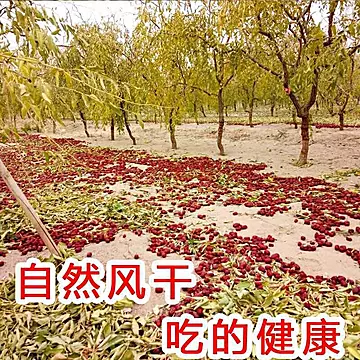 净重若羌枣新疆红枣大枣新货农家自产优质[10元优惠券]-寻折猪