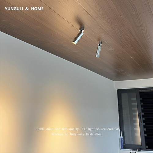 迷你明装小射灯可调角度led吸顶式照画筒灯天花灯客厅玄关洗墙灯 - 图0