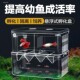 Guppy isolation breeding box, fish tank, fry, small fish separation box, anchovy hatching, pregnant female fish production barrel