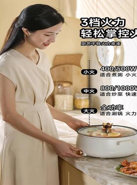 德国出口宿舍电煮锅一体锅多功能家用小型泡面P锅迷你小电锅电火