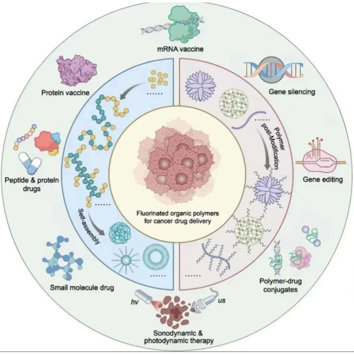 网路理学分子对接中网路理学教程自学入门零基础课程G107 - 图0