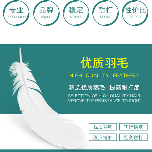 李宁羽毛球G100S/G200/G300S/G500/G900/C50/C80/D6/D8专业耐打 - 图0