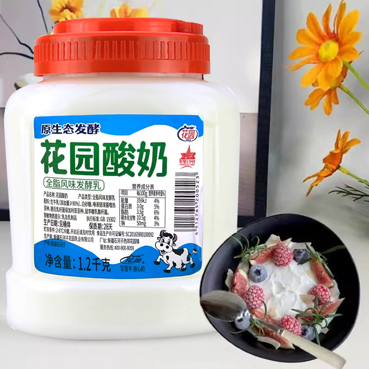 花园酸奶2.4斤大桶罐装新疆特产原味低温酸奶全脂风味发酵乳,淘宝优惠券,粉丝福利购,淘宝优惠卷