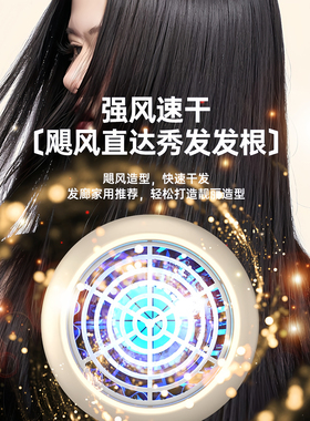 德国吹风机电筒超大风力静音护发