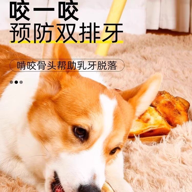 宠物狗狗磨牙零食耐磨耐咬牛膝骨中大型犬洁齿骨营养补钙磨牙棒,淘宝优惠券,粉丝福利购,淘宝优惠卷