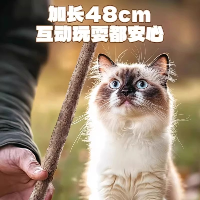 猫玩具猫零食木天蓼超长杆磨牙棒自嗨解闷磨牙逗猫棒猫咪零食用品,淘宝优惠券,粉丝福利购,淘宝优惠卷