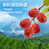 味滋源三级免洗新疆灰枣 500g*2