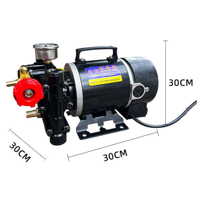 隆迈手提式打药机农用电动果树喷雾器12v60v24v220伏双缸柱塞泵,淘宝优惠券,粉丝福利购,淘宝优惠卷