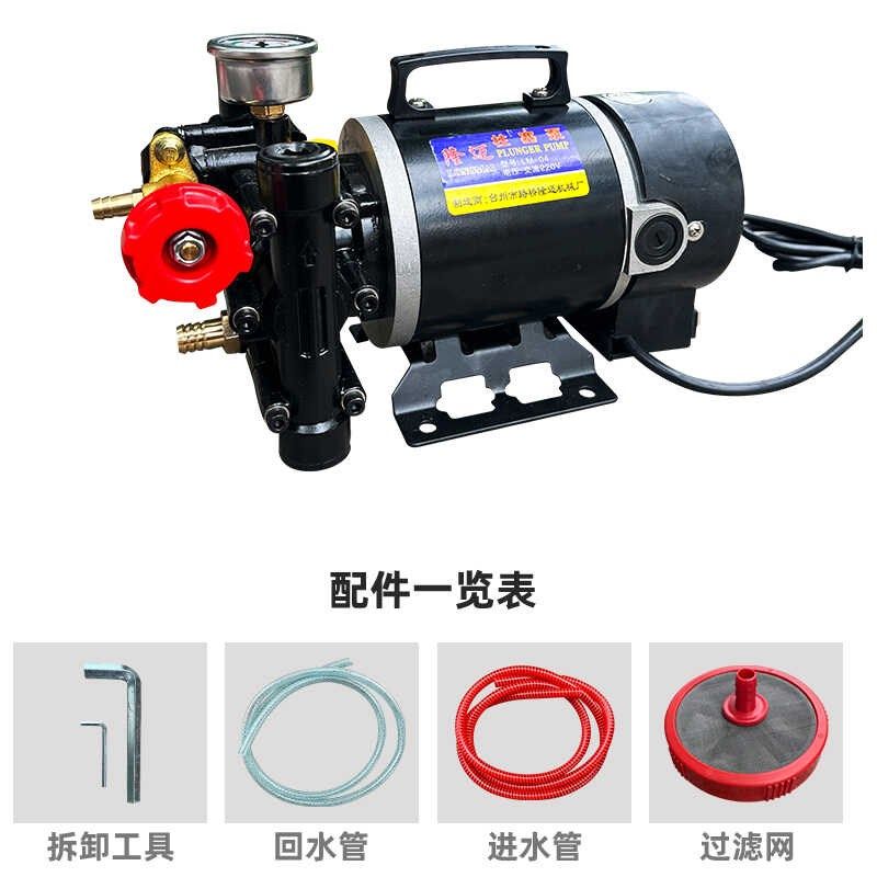 隆迈手提式打药机农用电动果树喷雾器12v60v24v220伏双缸柱塞泵,淘宝优惠券,粉丝福利购,淘宝优惠卷