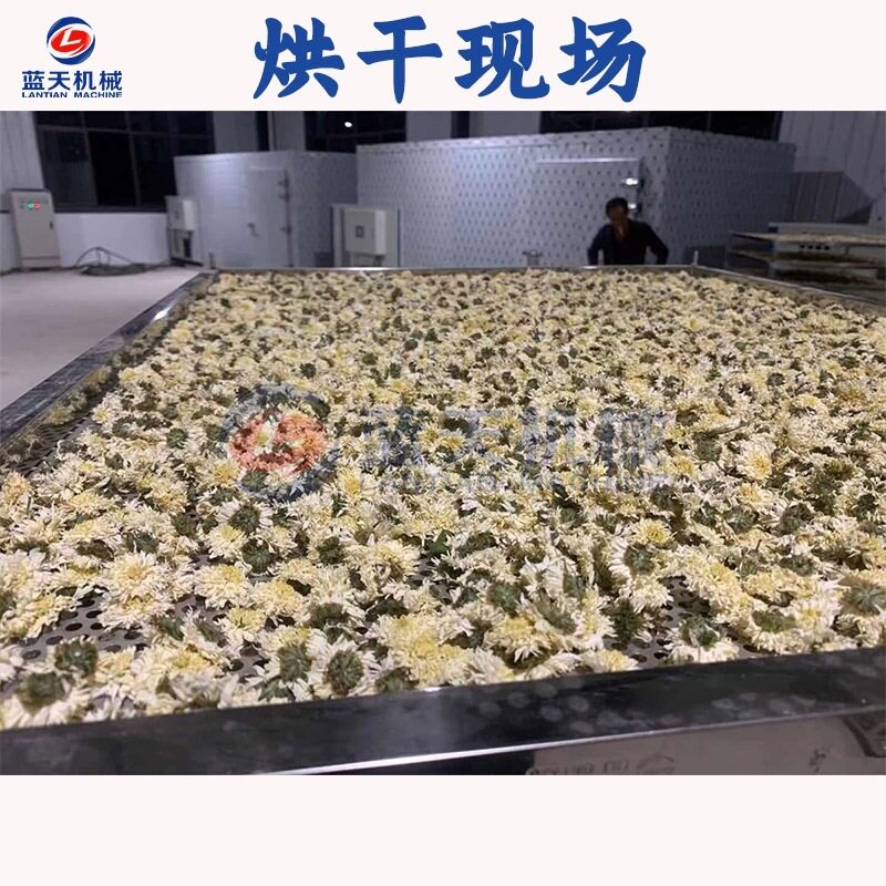 Air energy white chrysanthemum dryer Anhui Bozhou chrysanthemum dehumidification and drying room Huaiju Qiju intelligent drying equipment