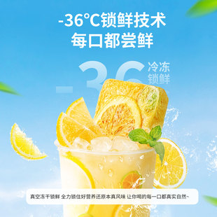 冻干原味柠檬片10g*1大包