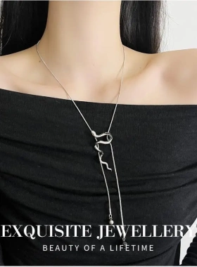 冷淡风抽拉银色蛇形长款项链女本命年轻奢高级感锁骨链毛衣链配饰