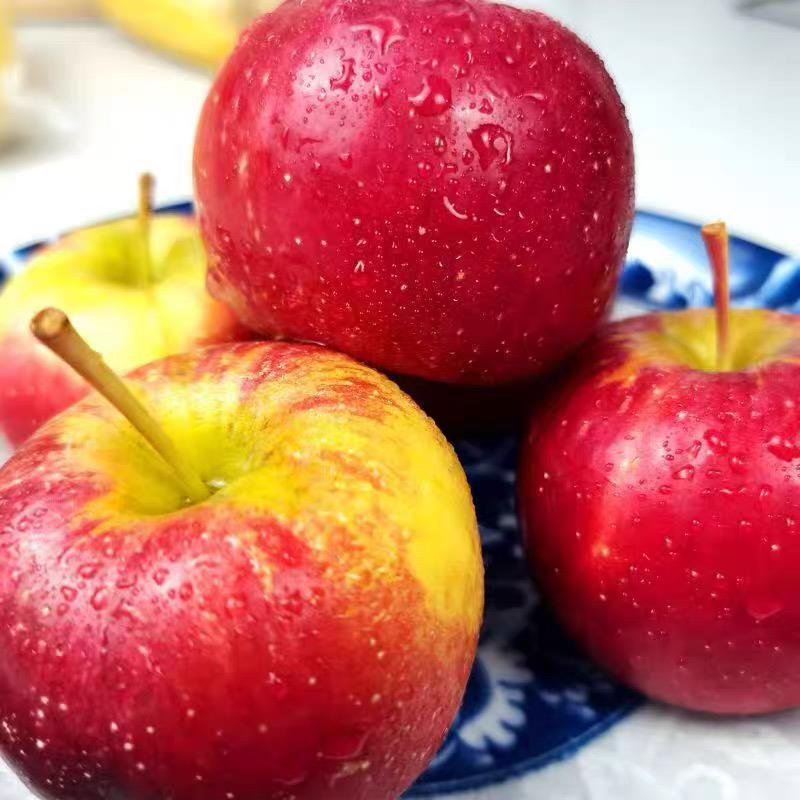 顺丰正宗新疆香妃海棠果鸡心果5斤冰糖小苹果孕妇当季新鲜水果W3 - 图0